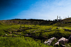A meadow in a burned area of Hell Canyon A meadow in a burned area of Hell Canyon