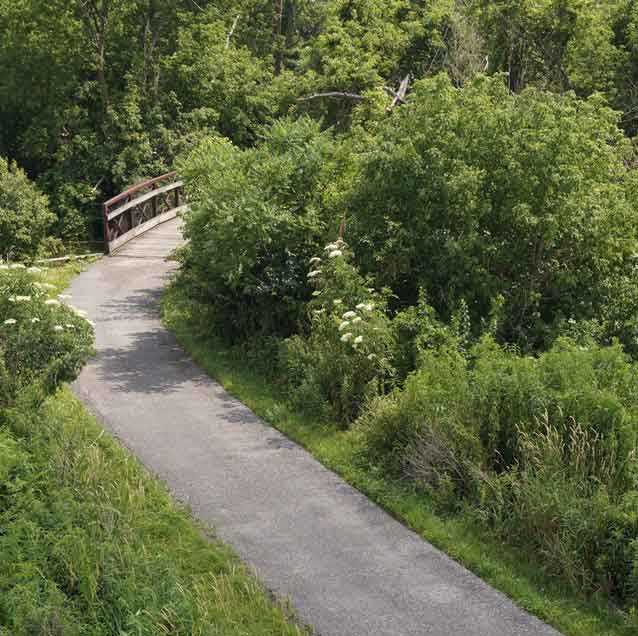 trail trail