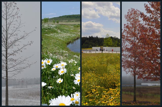 Four images showing winter, spring, fall, and winter Four images showing winter, spring, fall, and winter