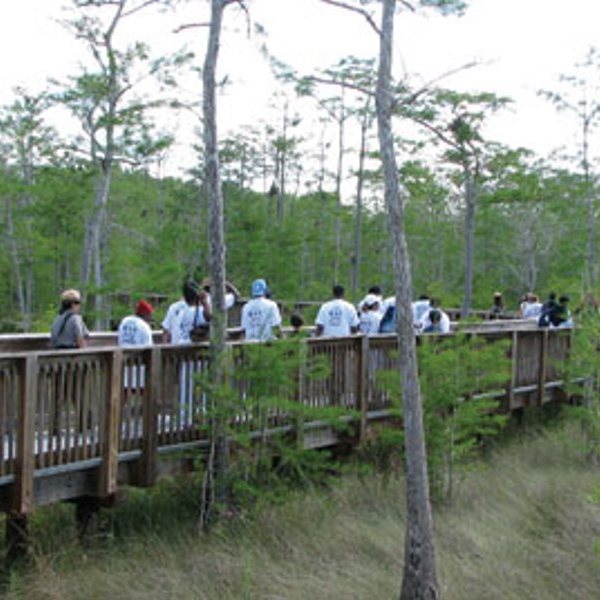 A park ranger leads a nature walk along the one-mile round trip Kirby Storter Boardwalk A park ranger leads a nature walk along the one-mile round trip Kirby Storter Boardwalk
