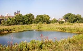 wetland surrounded by prairie at Bruce Vento Nature Sanctuary wetland surrounded by prairie at Bruce Vento Nature Sanctuary