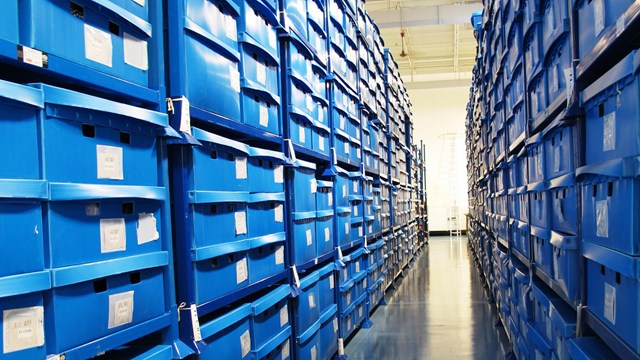 Museum storage shelves 