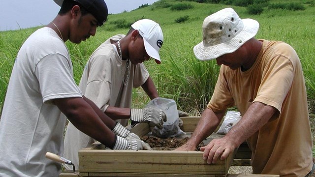 Archeologists at a screen