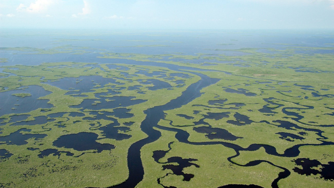 blue stream-like rivers zigzag through green vegetation