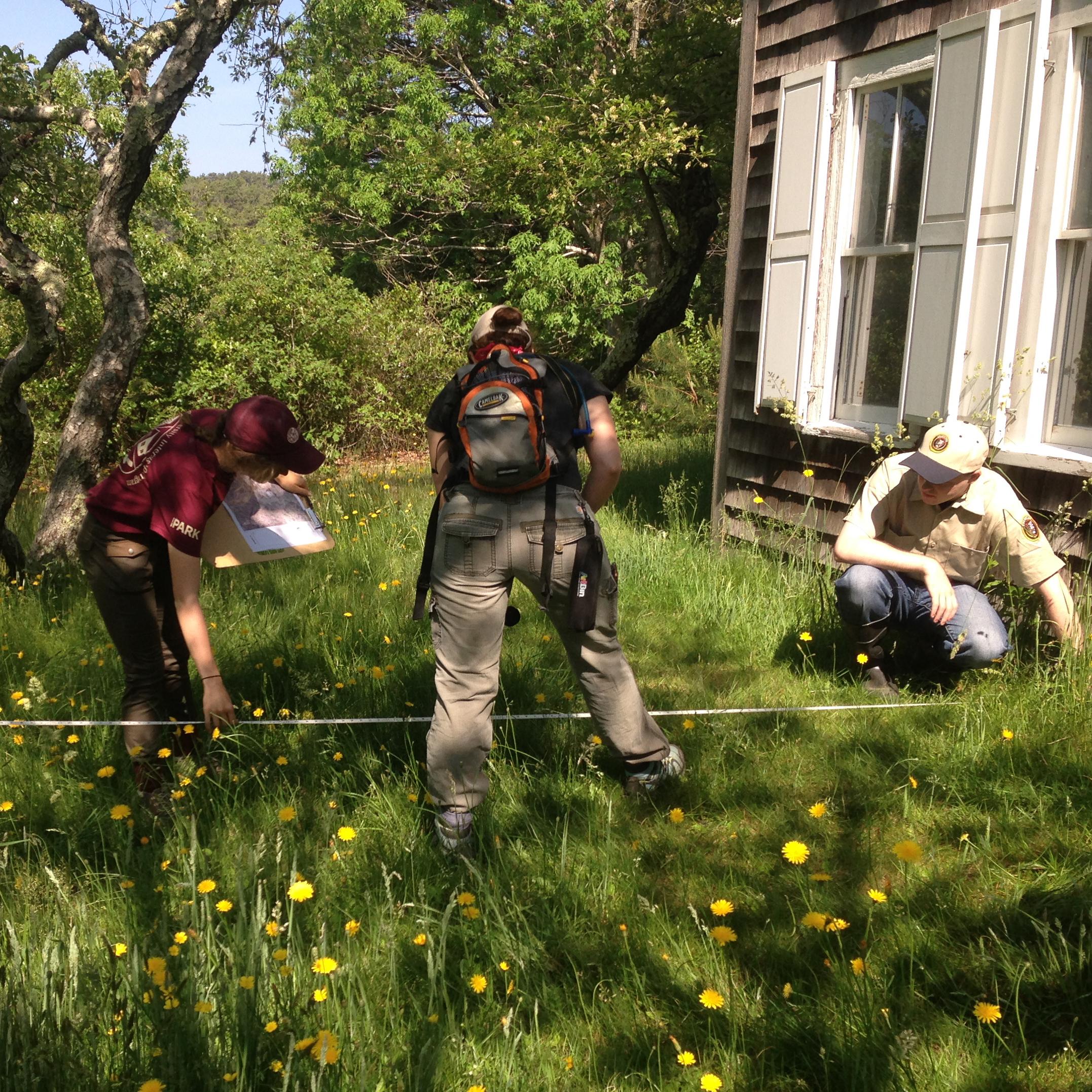 Workers using a measuring tape in a grassy area next to a structure.