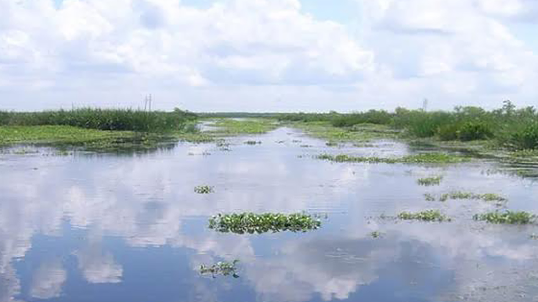 Marsh land in Jean Lafitte National Historic Park and Preserve