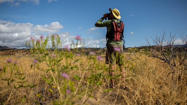 a man looks out over a landscape with binoculars