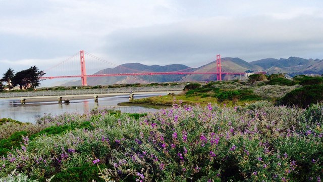 Golden Gate Bridge 