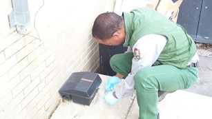 A park ranger checks a mouse trap set outside a building