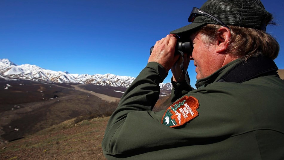 A man in a National Park Service Uniform uses binoculars to look out over snowcapped mountains