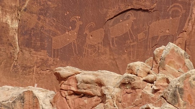 Petroglyphs and pictographs of bighorn sheep
