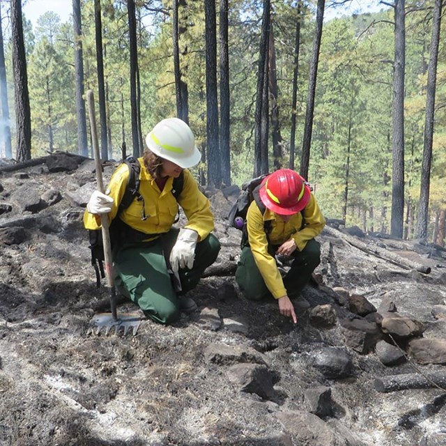 Technicians examine burned-over site. 