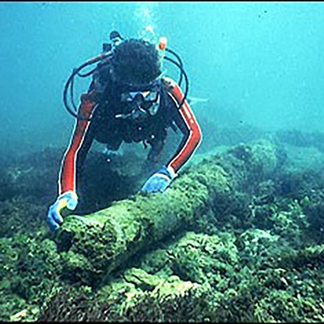 Scuba diver