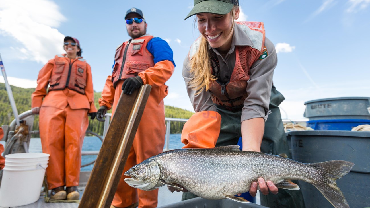 Lake trout caught by the crew of the NPS Hammerhead