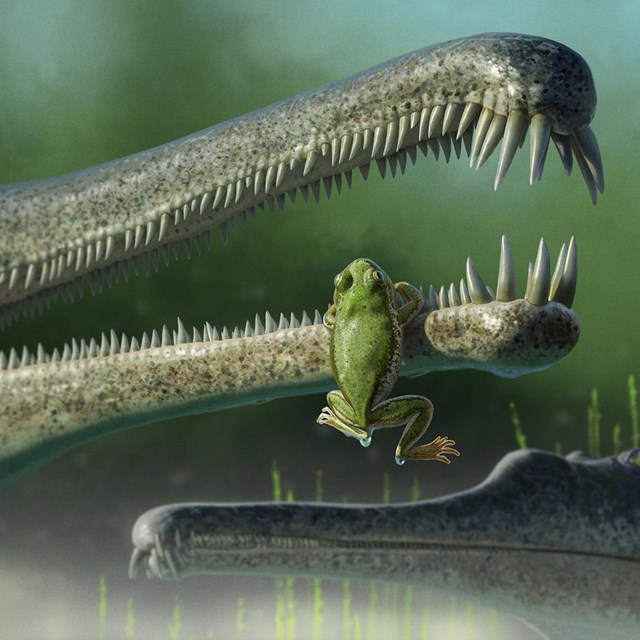 illustration of a frog dangling from an animals mouth with sharp teeth