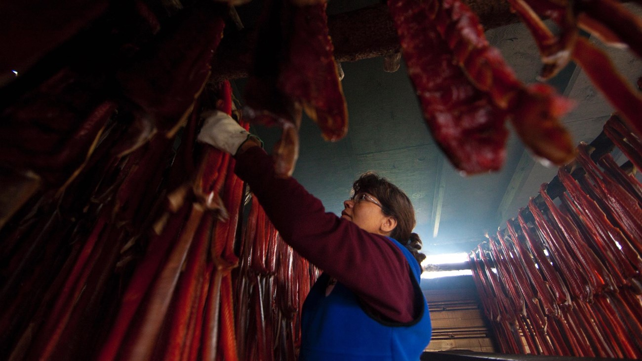 a woman hangs strips of salmon in a small room to dry
