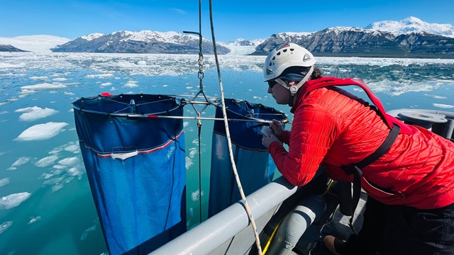 A scientists prepares equipment for oceanographic studies in an iceberg-strewn ocean with a glacier.