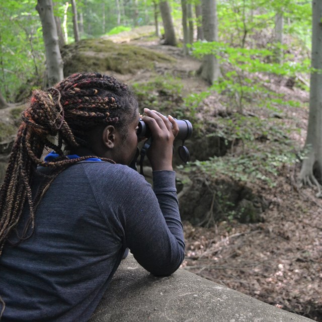 Visitor looking through binoculars at forest