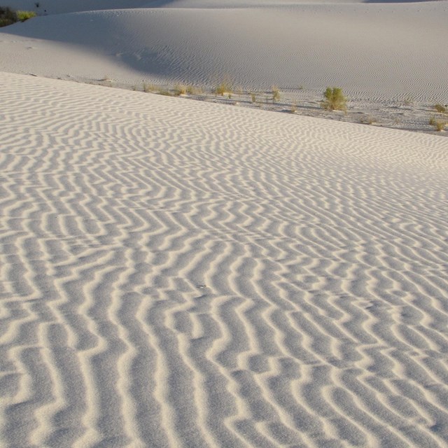 ripples through white sand