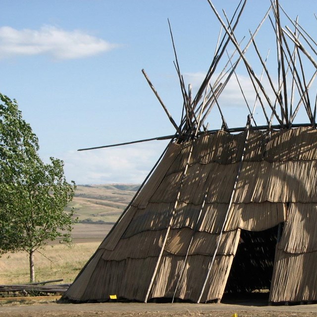 A tule lodgebuilt by YPP youth at the Umitilla Reservation