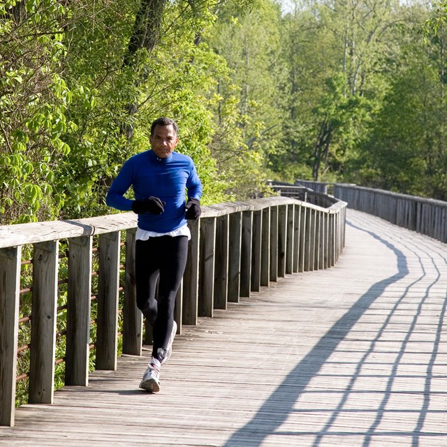 runner on wooden path with overhanging trees
