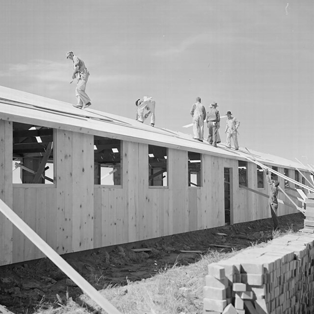 Historic image at Amache of contractor's workmen roofing an assembled barracks unit.