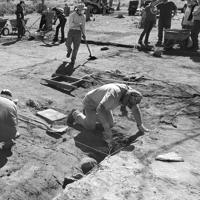 volunteers digging during Manzanar archeology program