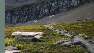 pathway leading towards a mountain