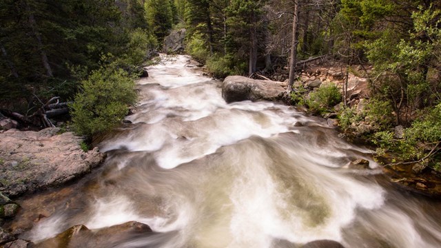 Big Thompson River rushes by in Rocky Mountain National Park. 