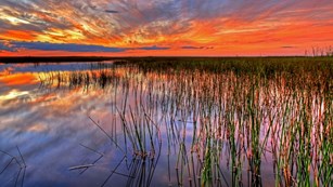 Sunset at Everglades National Park