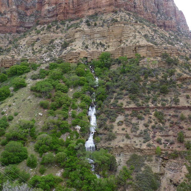 Water flows down the side of red rock amongst some green and tan vegetation.
