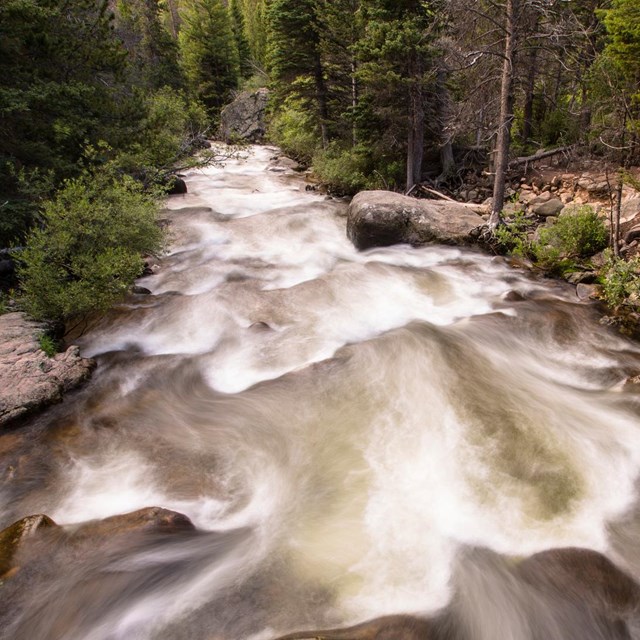 Big Thompson River rushes by in Rocky Mountain National Park. 