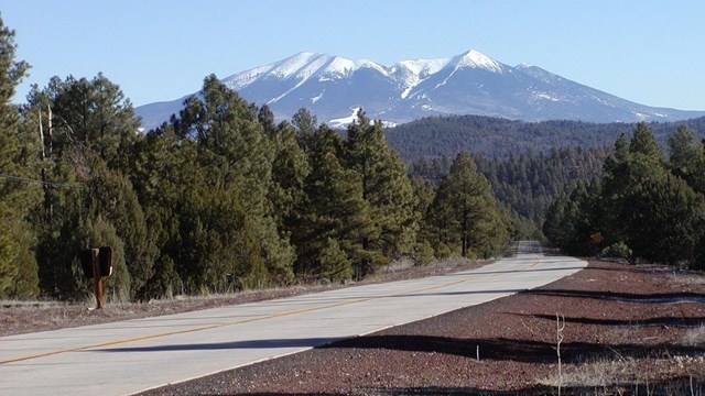 A highway runs through a forest with distant snow covered mountains.