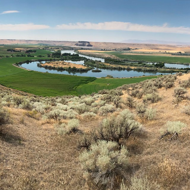 A view of a river valley with an island in the river.
