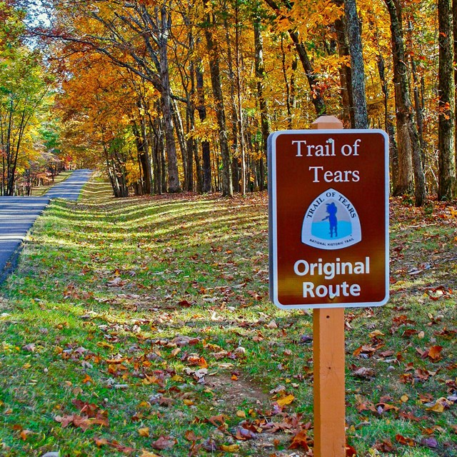 Brown sign on wood post that reads Trail of Tears Original Route next to a paved road in a forest