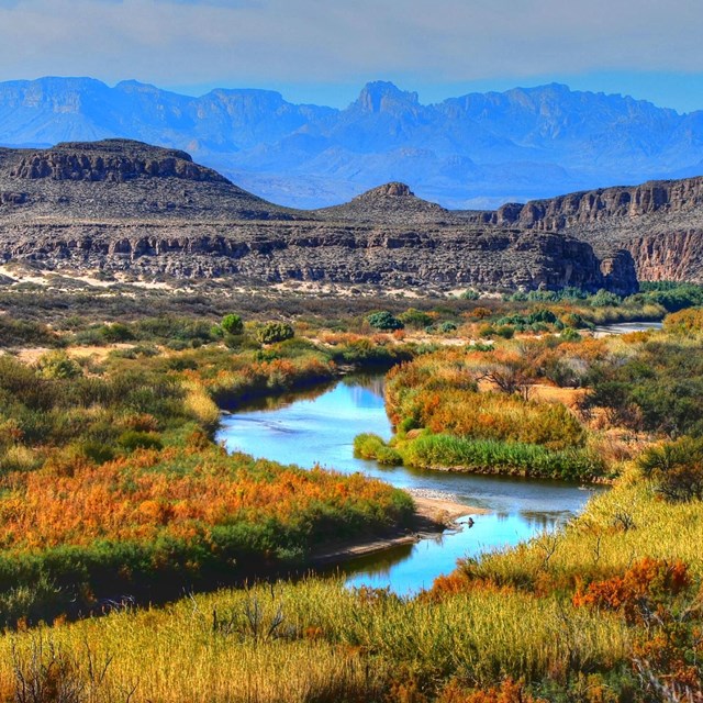 Rio Bravo Restoration
