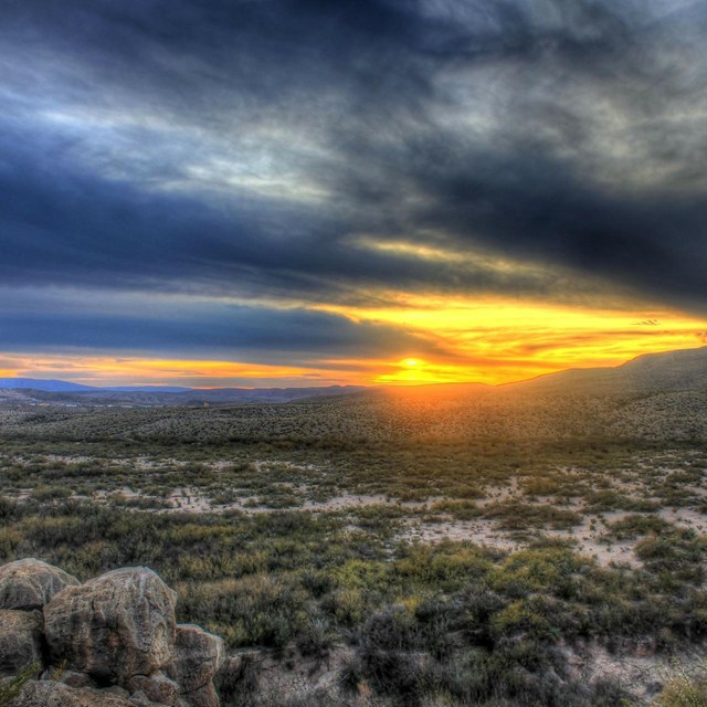 Center for Big Bend Studies
