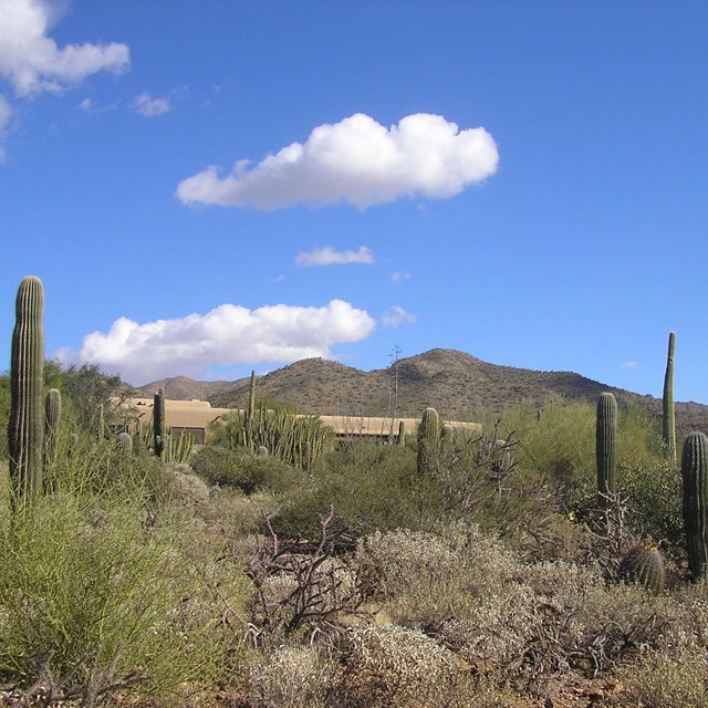 Arizona Sonoran Desert Museum