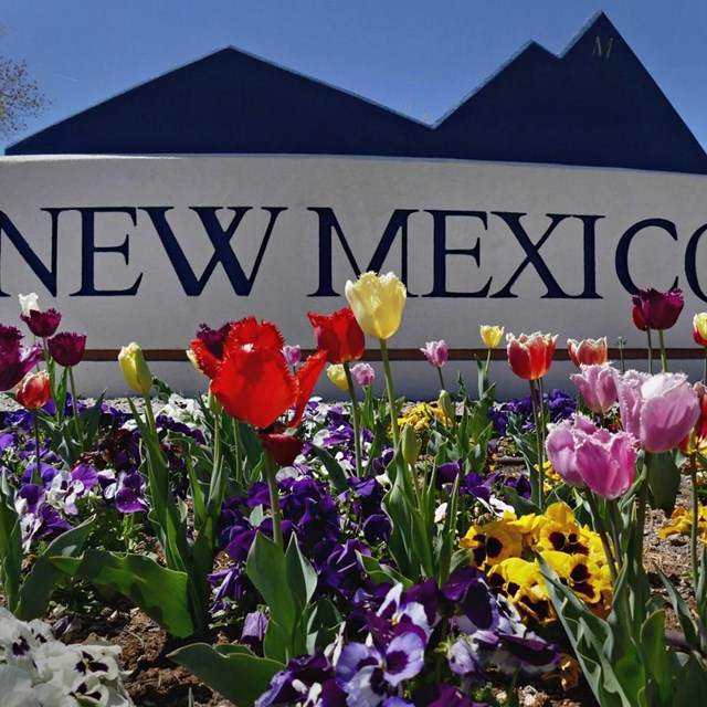 New Mexico Tech