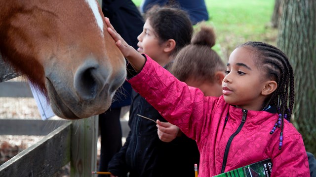 A girl pets a horse's nose