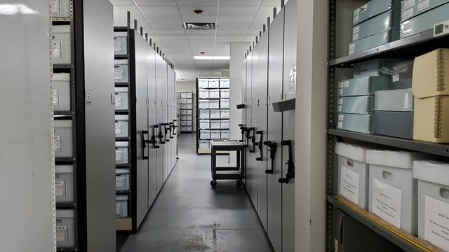Compactors in Collections storage