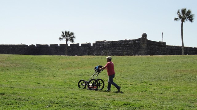 Archeologist standing in background behind a horse during Geophysical Survey