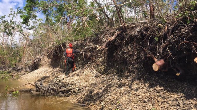 Archeologist examining eroding shell midden on river bank 