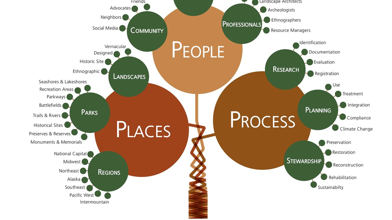 An organizational map of the program is divided into three main branches with nine sub-branches.