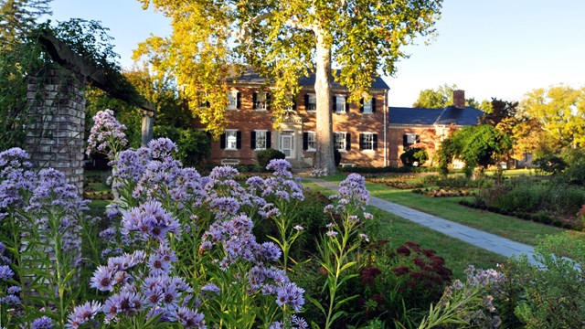 A shady lawn behind a two-story brick house contains a tall tree, stone path, and flower beds.