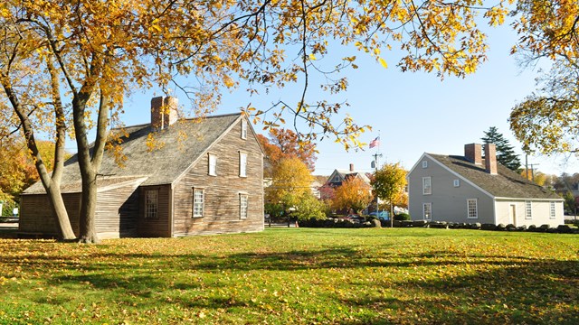 Bright autumn leaves hang on a tree over the grass and structures of the Adams Birthplaces