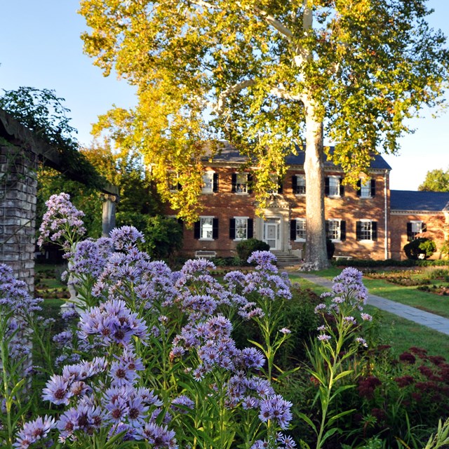 A shady lawn behind a two-story brick house contains a tall tree, stone path, and flower beds.