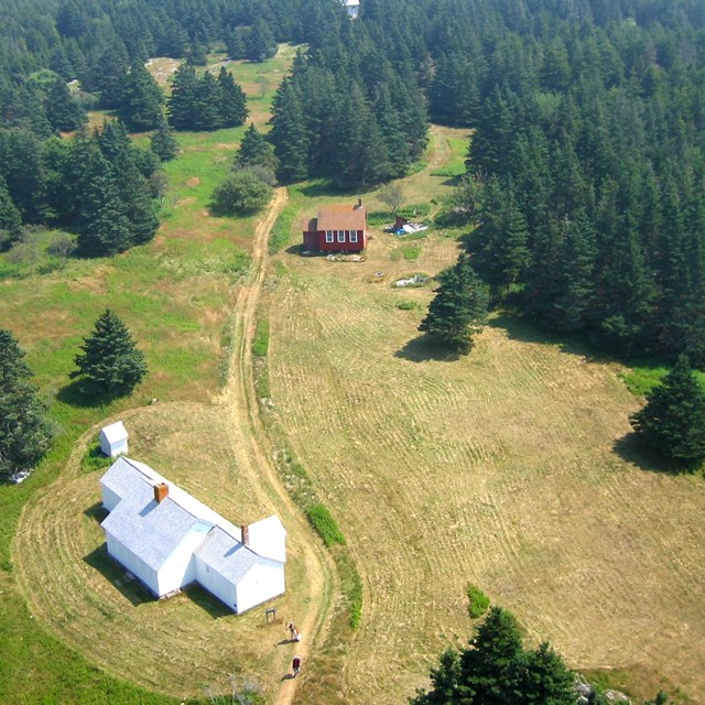 Aerial view of mowed grass around a farm building, surrounded by evergreen trees