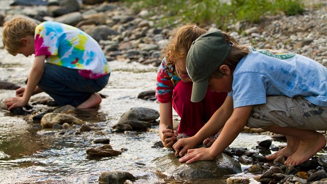 Kids playing in a stream at Denali NP.