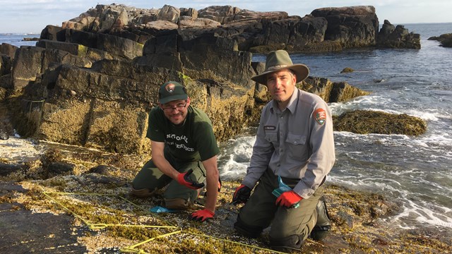 Two scientists kneel on a craggy rock